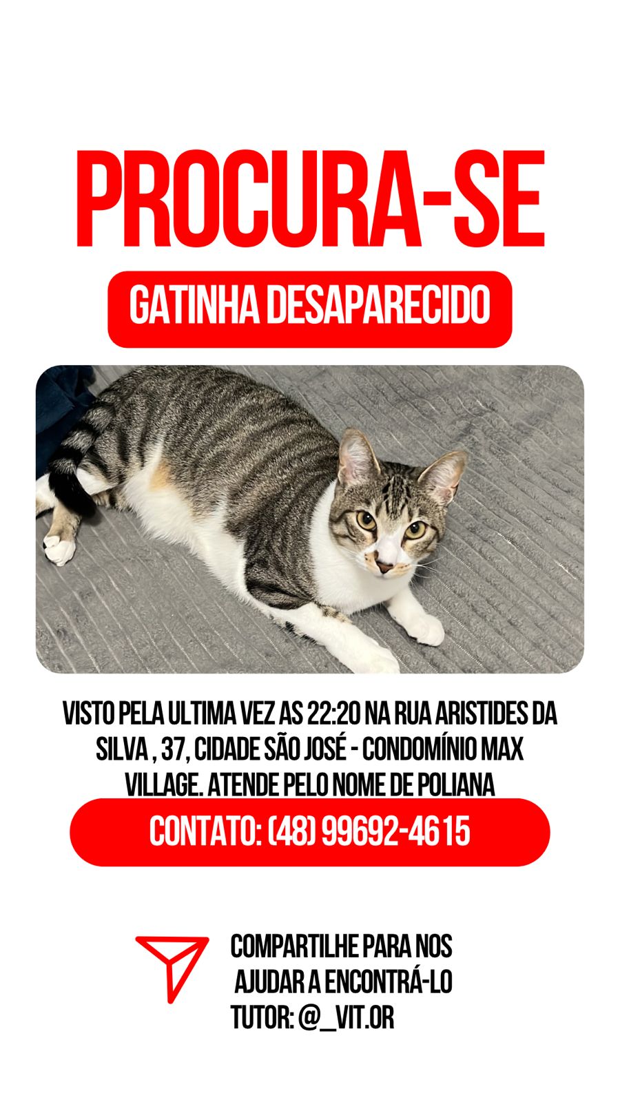 imagem do cachorro